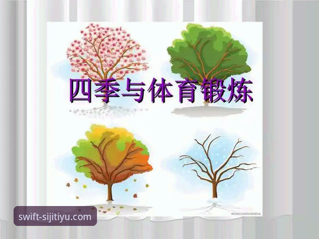 四季体育app安装方法哪个好 四季体育平台安装方法对比详解